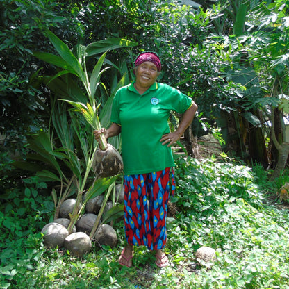 Help Plant Trees