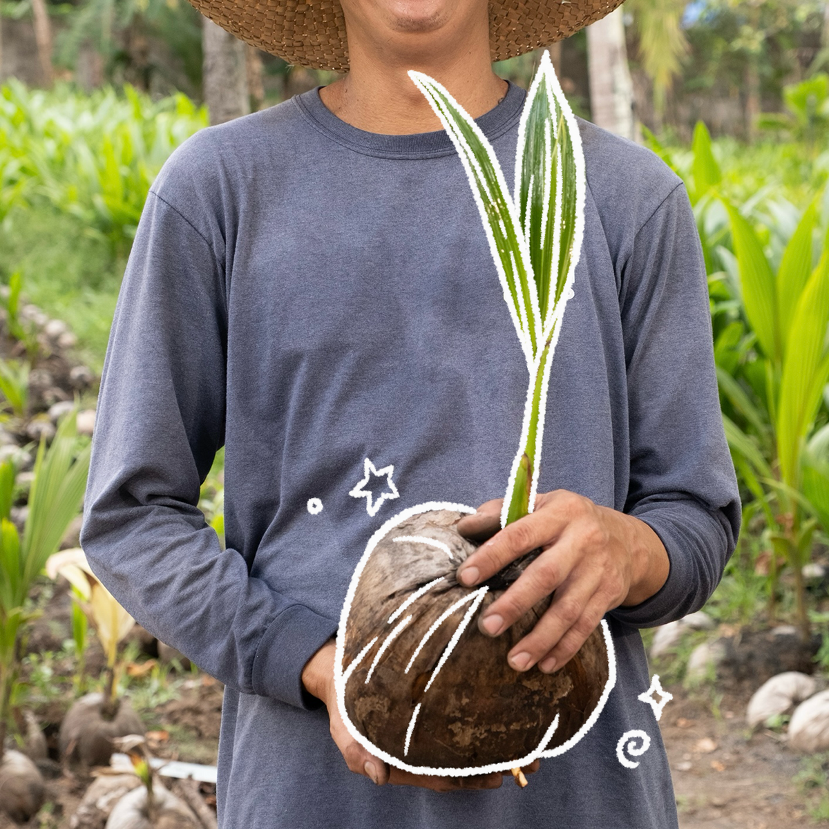 Aco Pa: Adopt a Coconut Palm